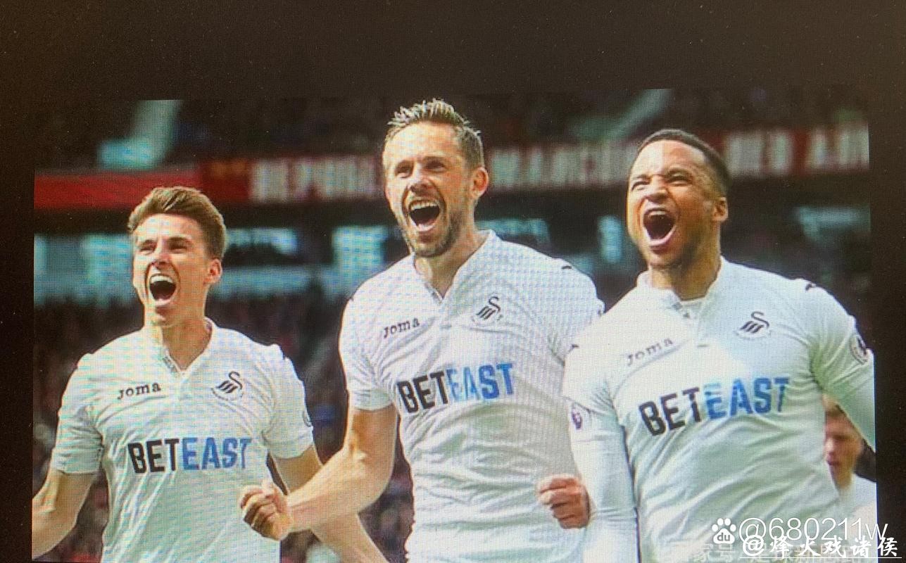 英冠分析:斯旺西 VS 普雷斯顿 斯旺西全力争胜 英冠分析:斯旺西 VS 普雷斯顿 斯旺西全力争胜